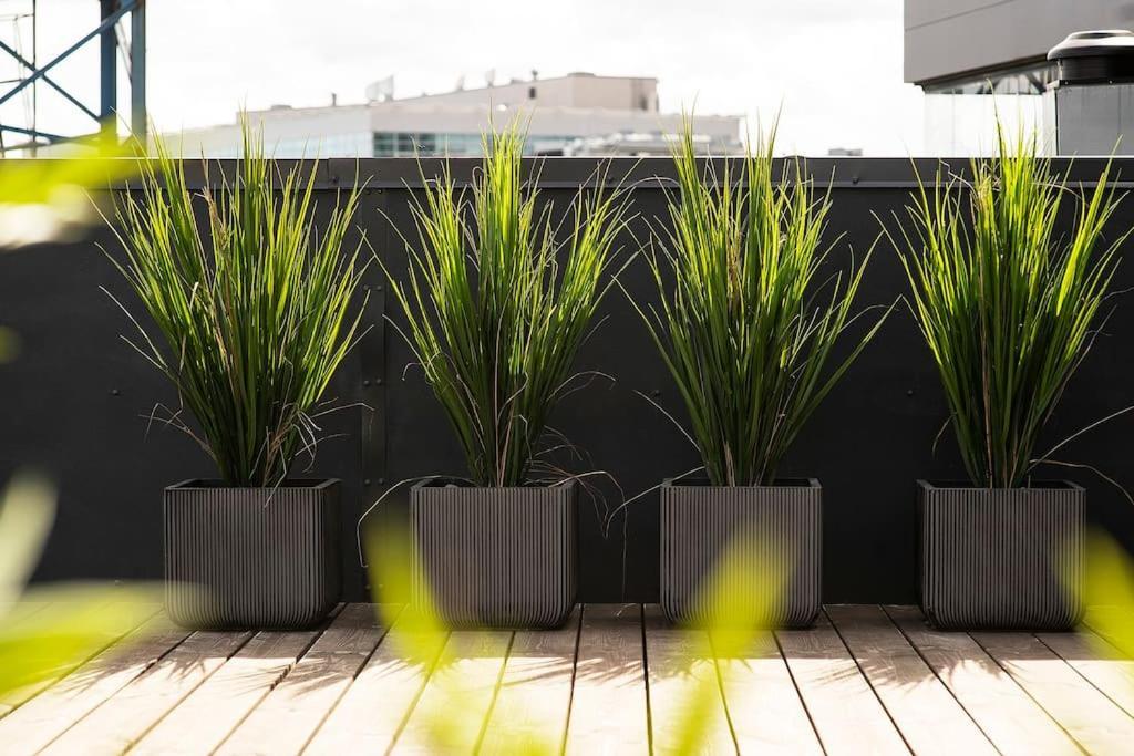 W Apartments Uus-Hollandi With Sauna Ταλίν Εξωτερικό φωτογραφία